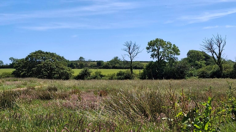 Colby Estate Mount and Barns Field Walk (purple Trail)